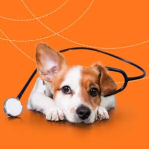 Кожные неотложные